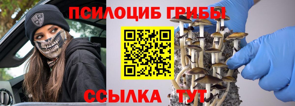 Псилоцибиновые грибы Psilocybine cubensis  Вход с VPN  Шелехов 